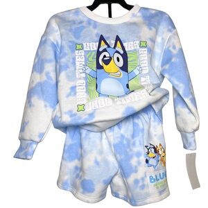 Bluey Kids Tie‑Dye Sweater & Shorts Set NWT Gender Neutral 2T Good Times Graphic